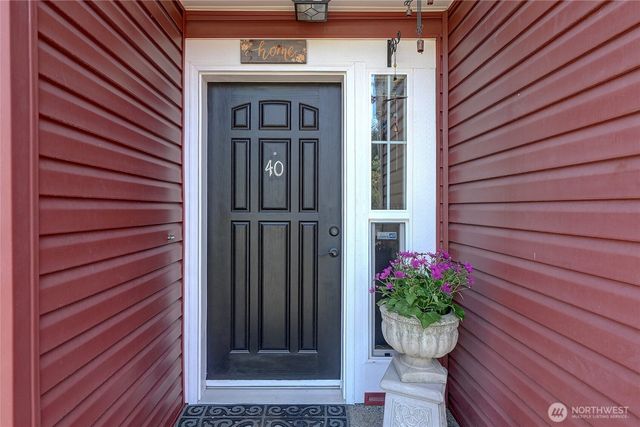 a potted plant on the side of a building