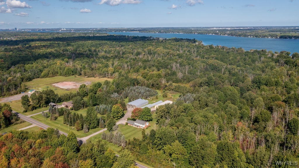 555 Ransom Road Grand Island, NY 14072 - Photo 6 of 48