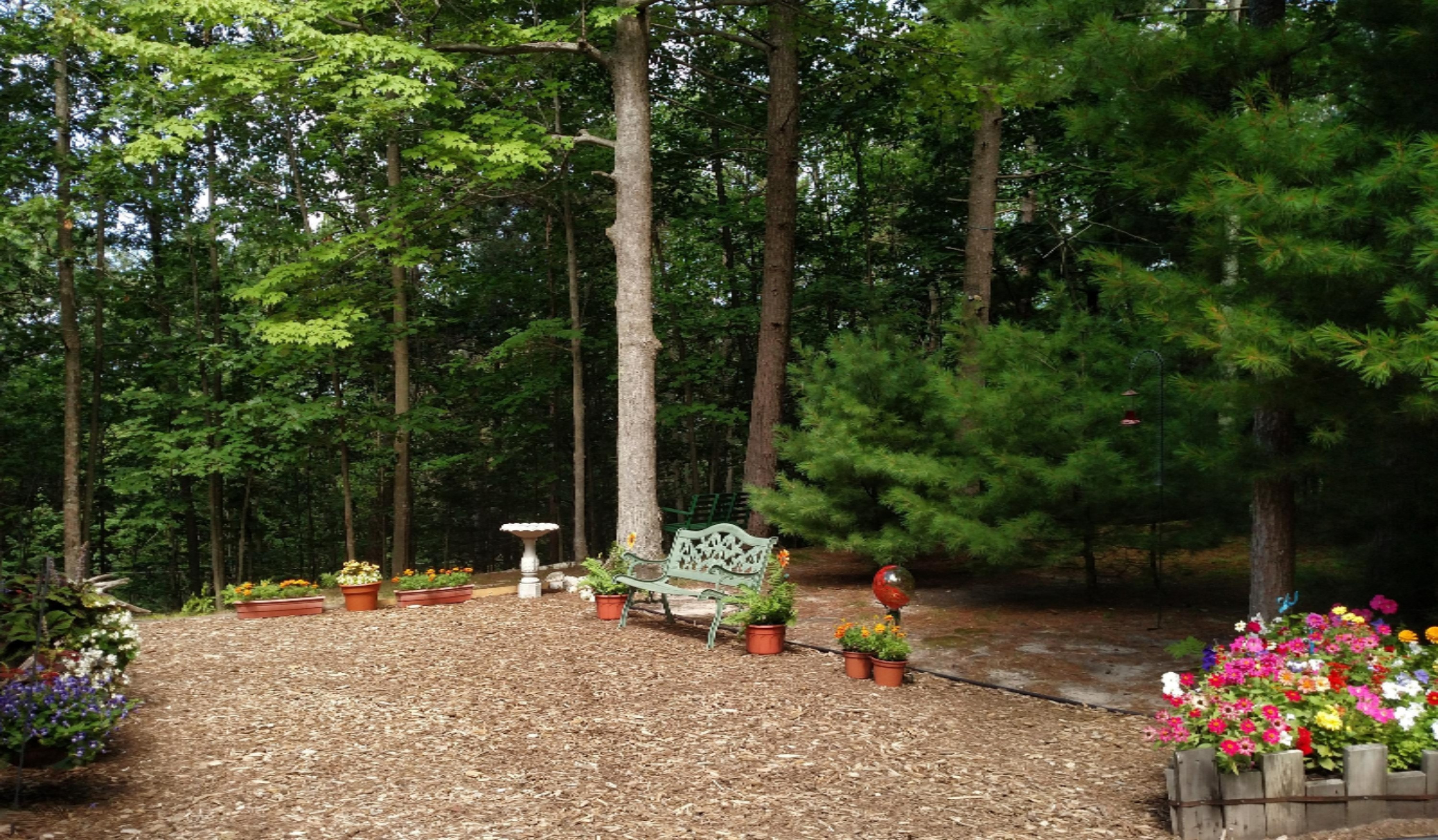 4230 Fox Farm Road Manistee, MI 49660 - Photo 54 of 73 IMG_20170812_122524719