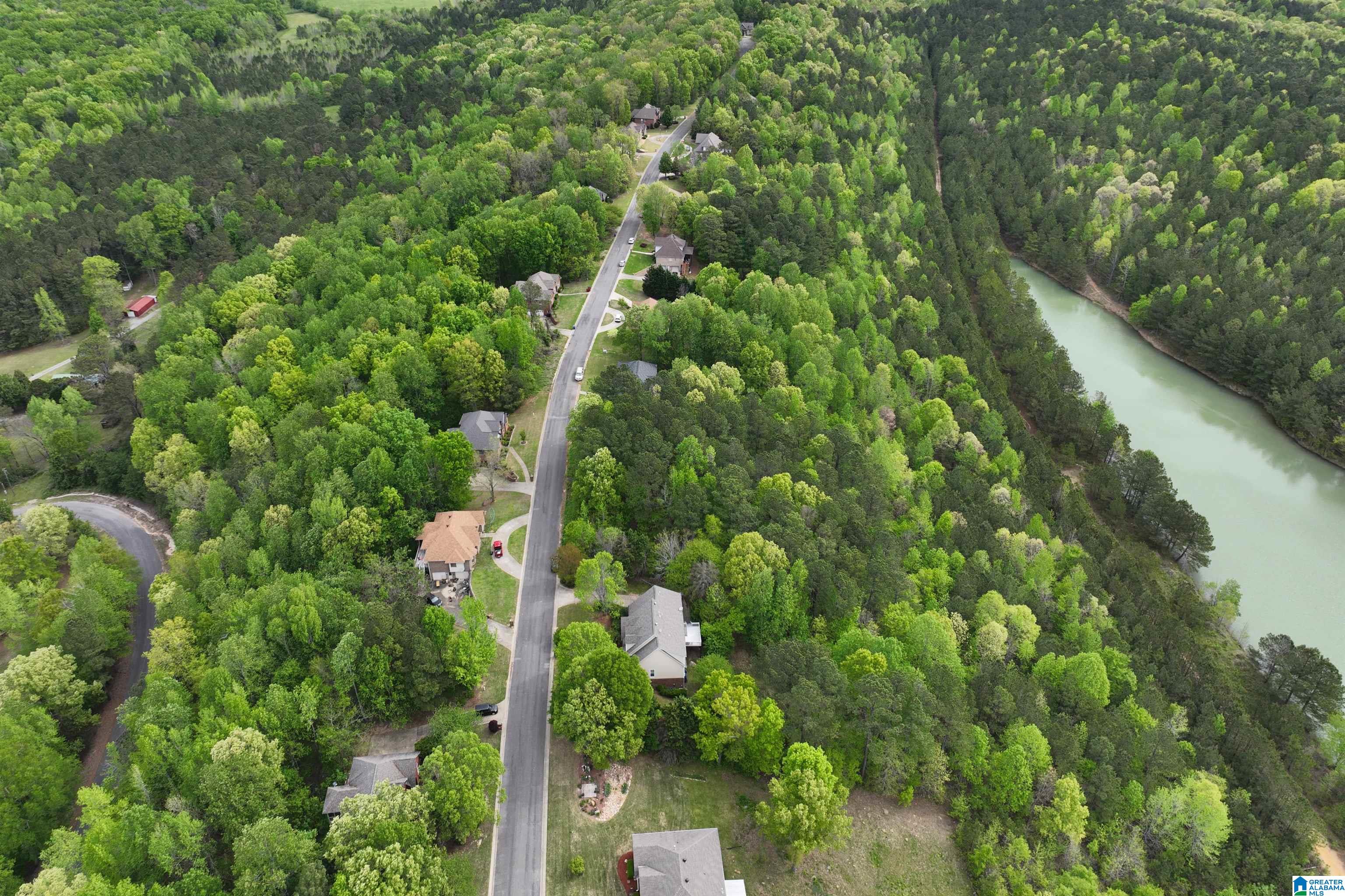 90 Ridgewood Lane Odenville, AL 35120 - Photo 58 of 65