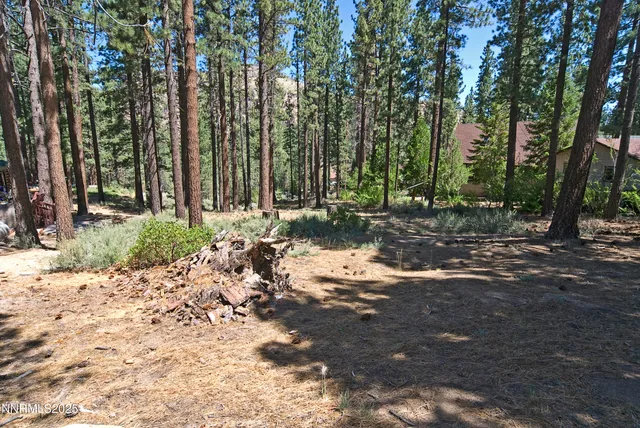 $58,000 | 50 Pinon Road, Markleeville, CA 96120