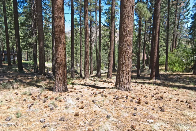 $58,000 | 50 Pinon Road, Markleeville, CA 96120