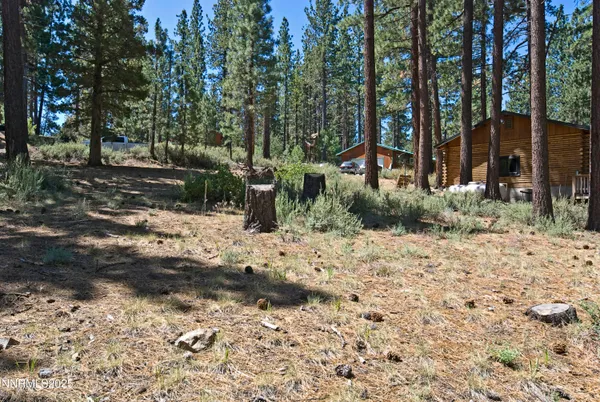 $58,000 | 50 Pinon Road, Markleeville, CA 96120