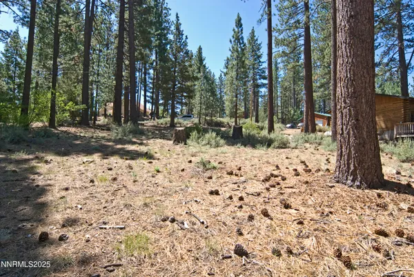 $58,000 | 50 Pinon Road, Markleeville, CA 96120