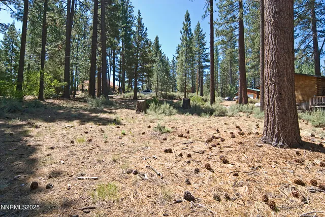 $58,000 | 50 Pinon Road, Markleeville, CA 96120