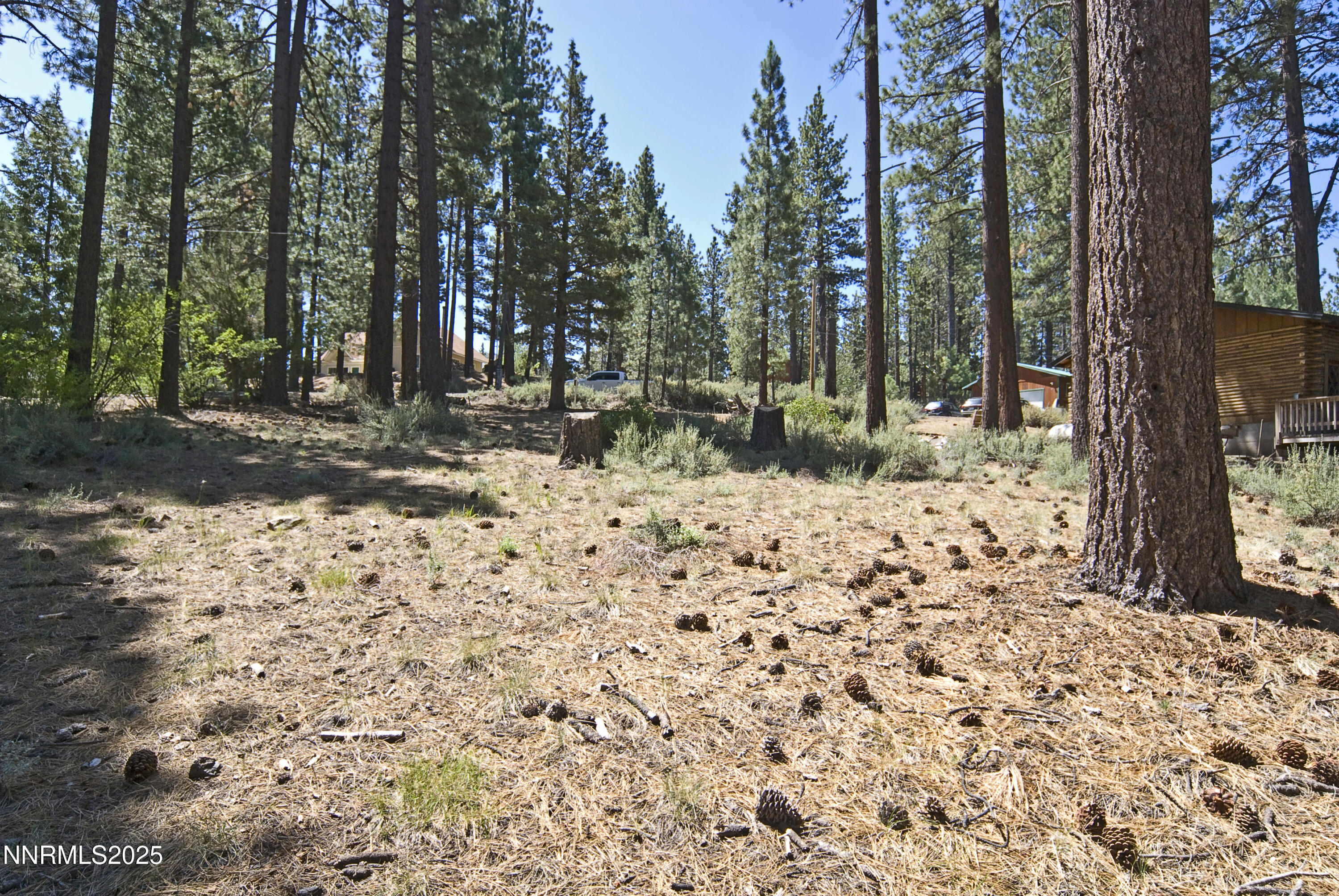 50 Pinon Road Markleeville, CA 96120 - Photo 8 of 11 PinionNEW_7