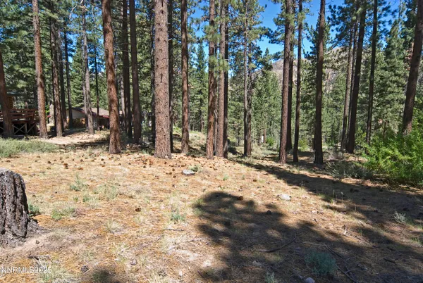 $58,000 | 50 Pinon Road, Markleeville, CA 96120