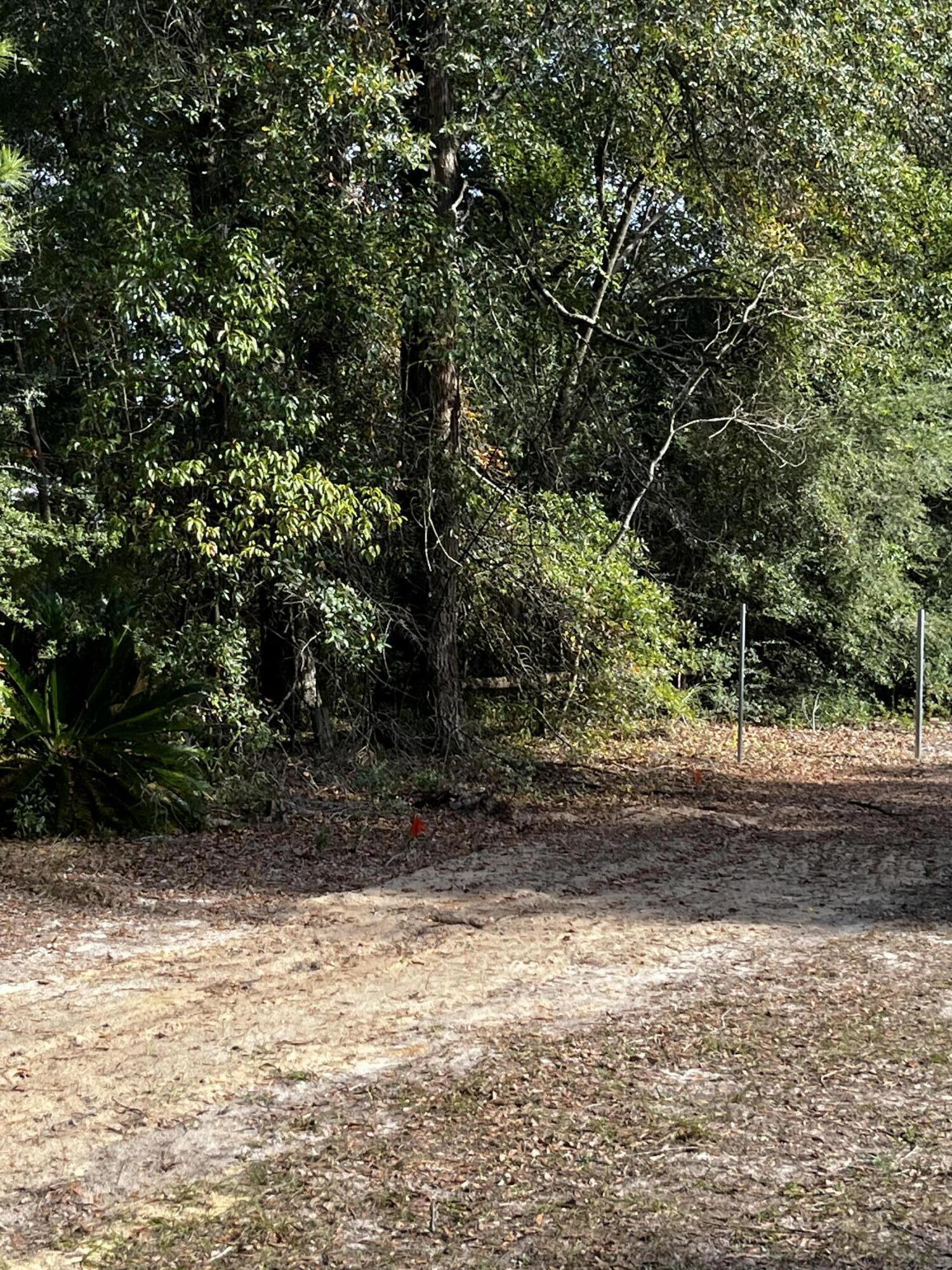 a view of a yard with a tree