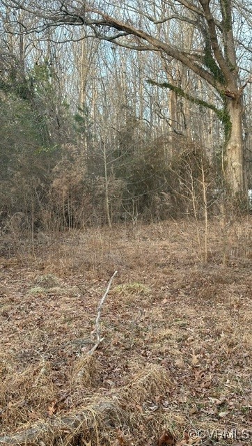 5832 Centerville Road Williamsburg, VA 23188 - Photo 2 of 5 View of landscape