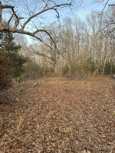 5832 Centerville Road Williamsburg, VA 23188 - Photo 3 of 5 View of local wilderness