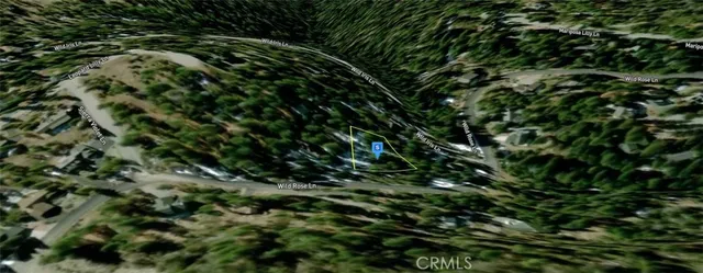 a view of a lush green forest