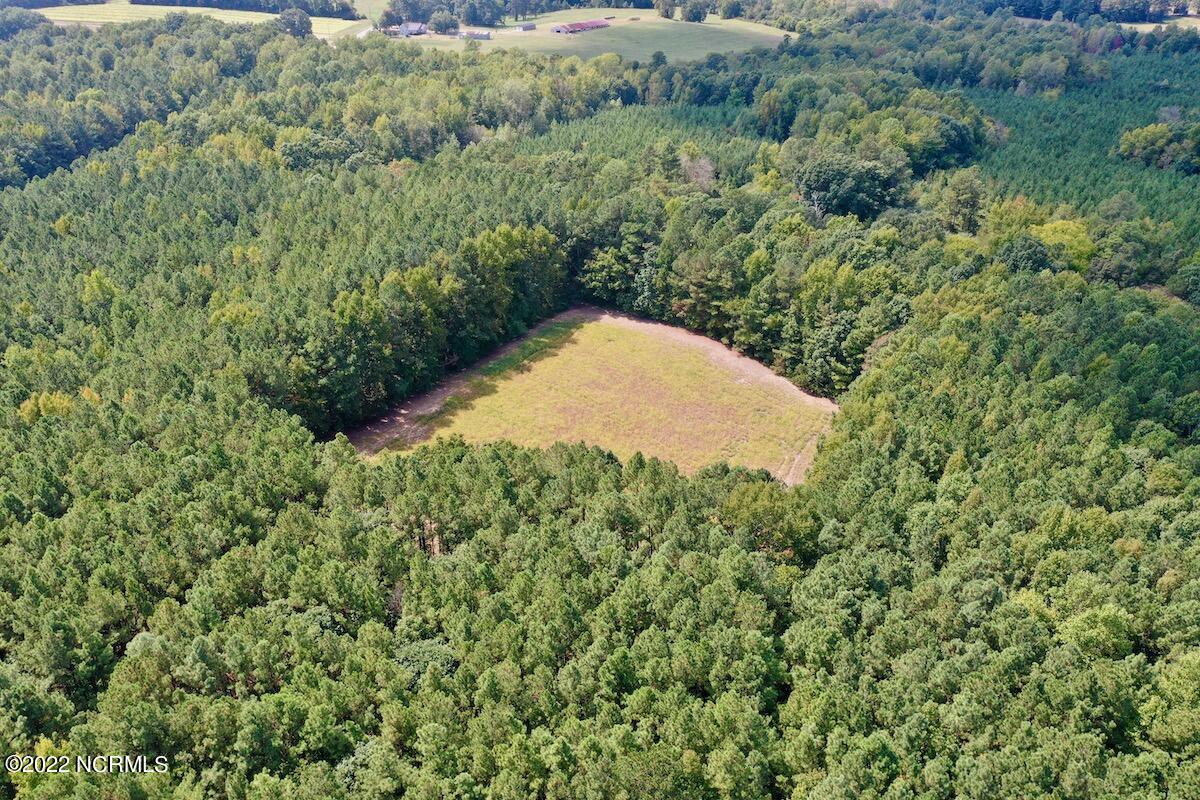 0 Peter Stallings Road Macon, NC 27551 - Photo 11 of 50 DJI_0855
