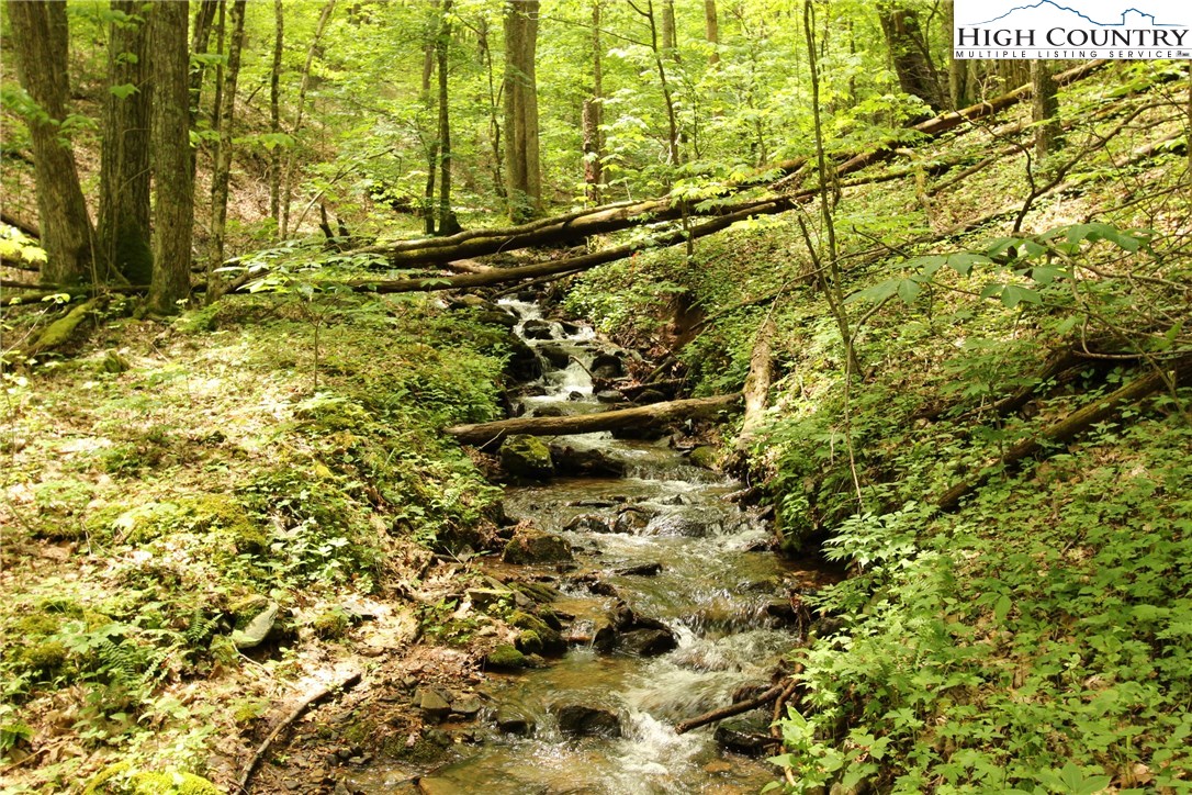 Lot 65 Madisyn Oaks Lane Boone, NC 28607 - Photo 1 of 31