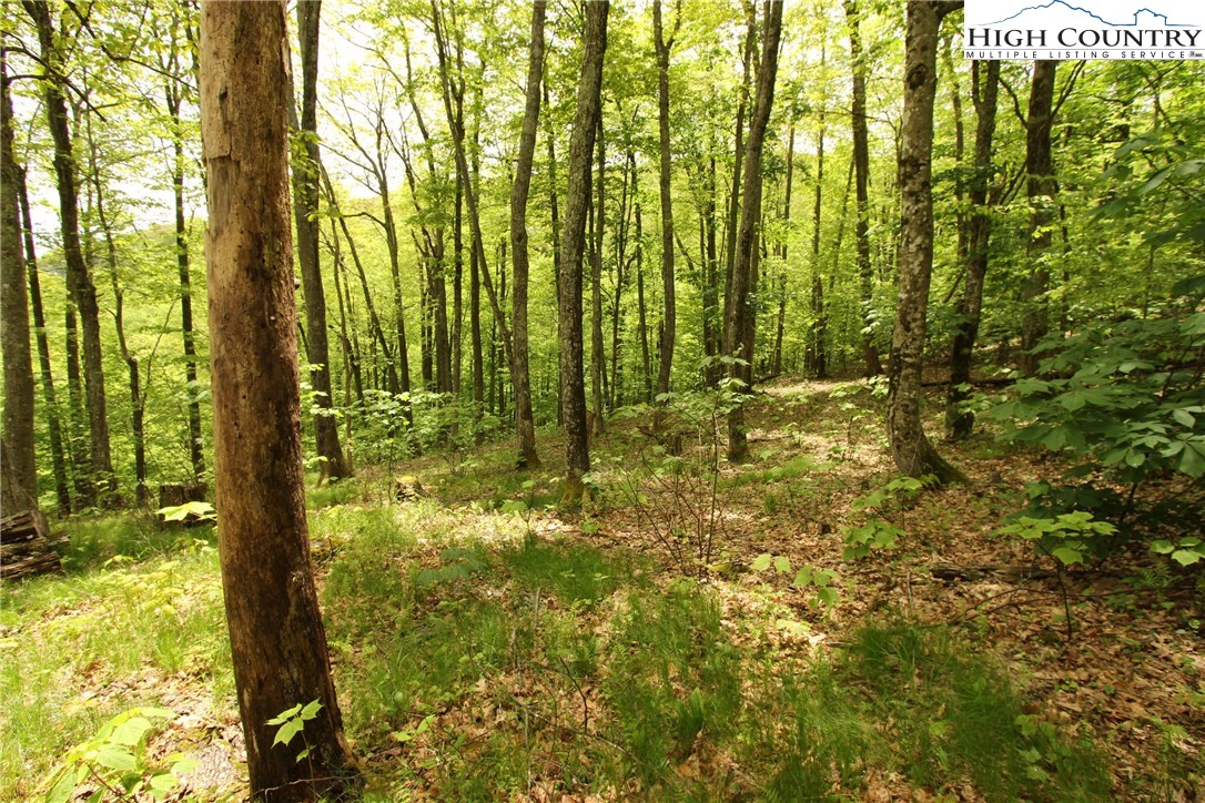 Lot 65 Madisyn Oaks Lane Boone, NC 28607 - Photo 13 of 31