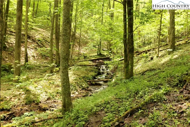 $89,900 | Lot 65 Madisyn Oaks Lane, Boone, NC 28607