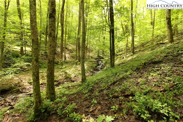 $89,900 | Lot 65 Madisyn Oaks Lane, Boone, NC 28607