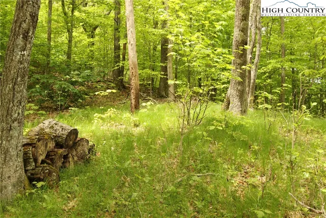 $89,900 | Lot 65 Madisyn Oaks Lane, Boone, NC 28607