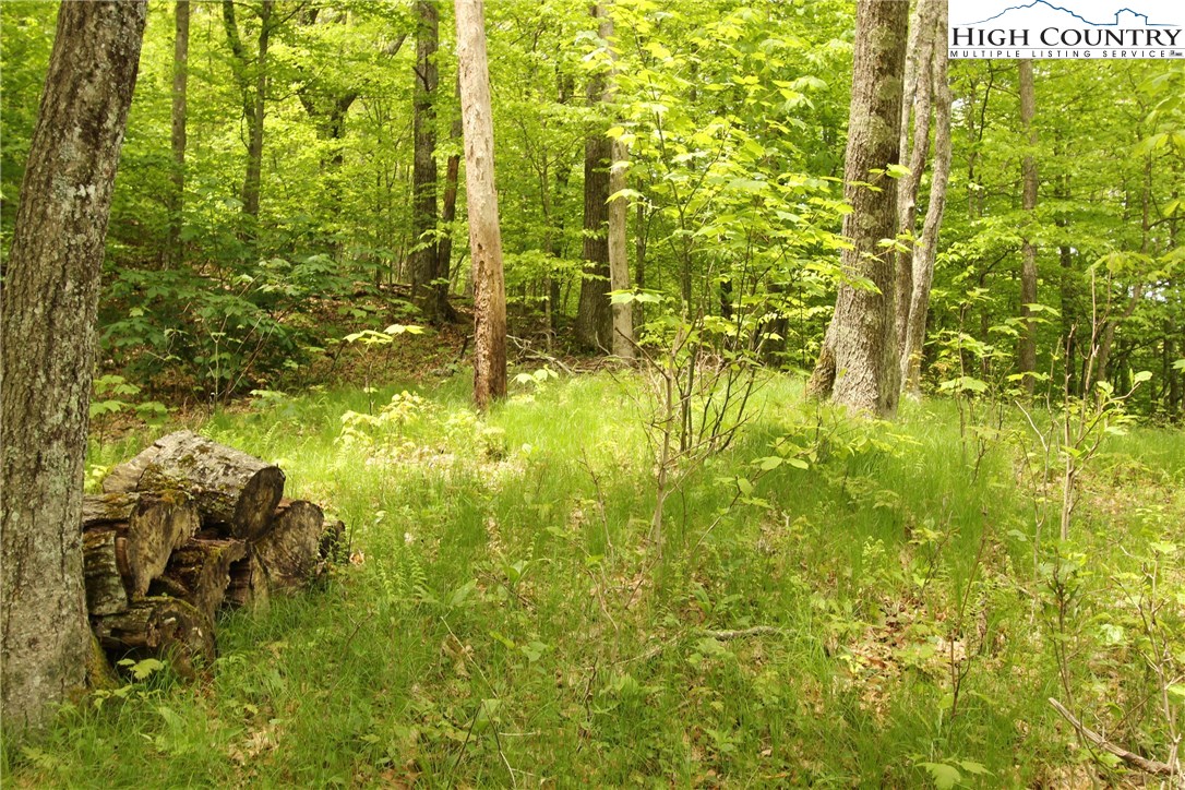 Lot 65 Madisyn Oaks Lane Boone, NC 28607 - Photo 16 of 31