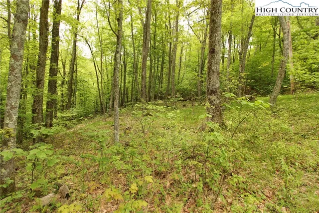 $89,900 | Lot 65 Madisyn Oaks Lane, Boone, NC 28607