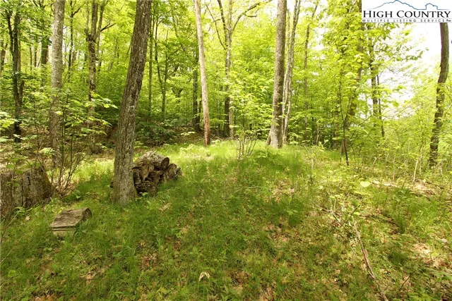 $89,900 | Lot 65 Madisyn Oaks Lane, Boone, NC 28607