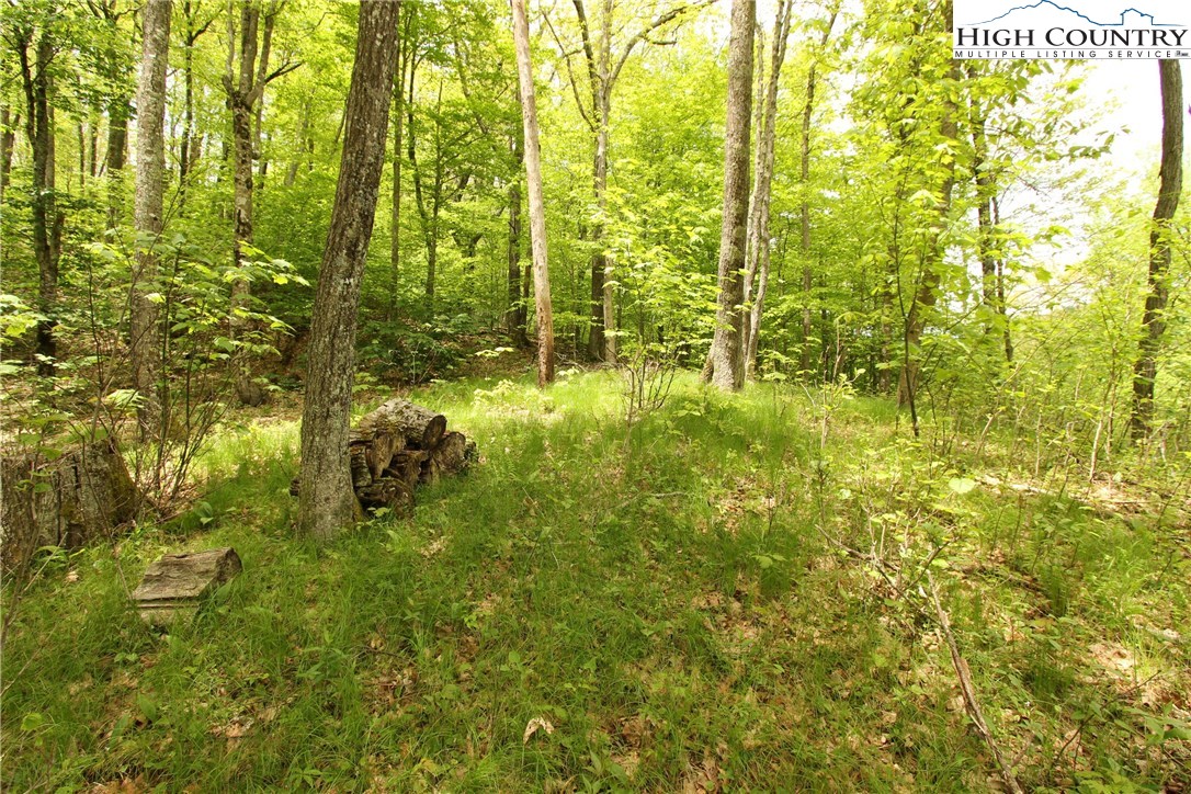 Lot 65 Madisyn Oaks Lane Boone, NC 28607 - Photo 18 of 31