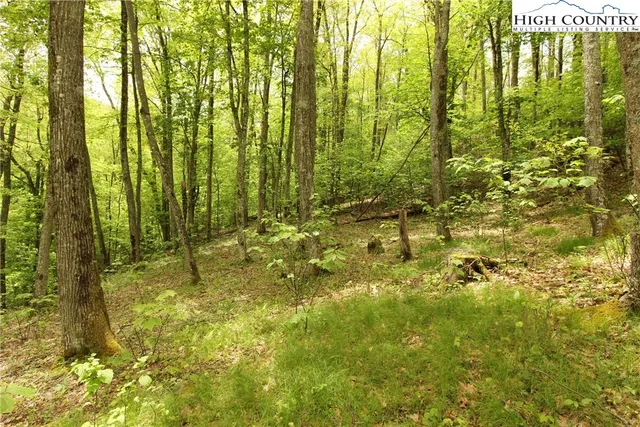 $89,900 | Lot 65 Madisyn Oaks Lane, Boone, NC 28607