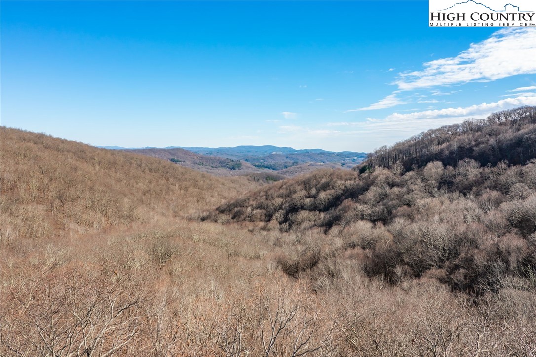 Lot 65 Madisyn Oaks Lane Boone, NC 28607 - Photo 3 of 31