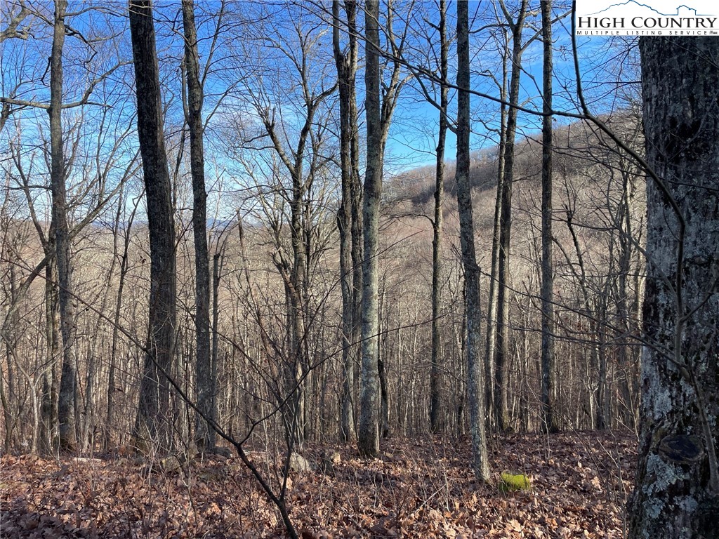 Lot 65 Madisyn Oaks Lane Boone, NC 28607 - Photo 4 of 31