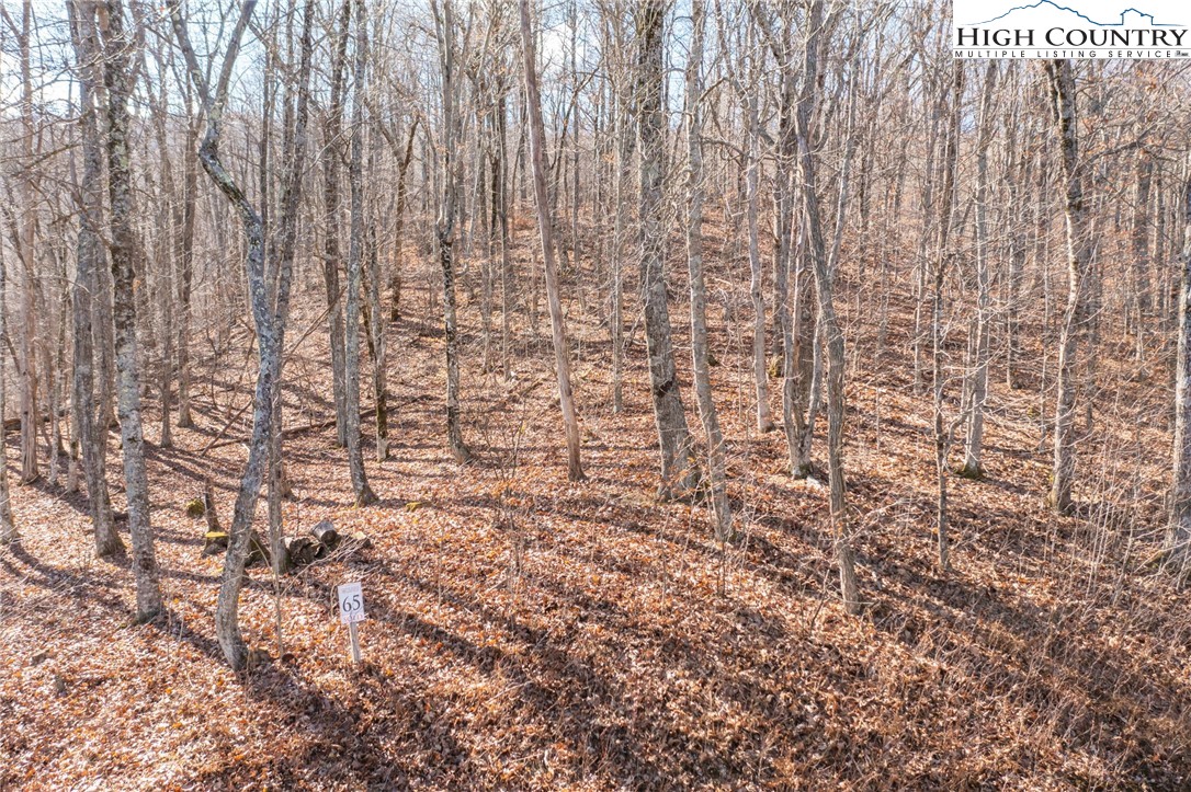 Lot 65 Madisyn Oaks Lane Boone, NC 28607 - Photo 5 of 31