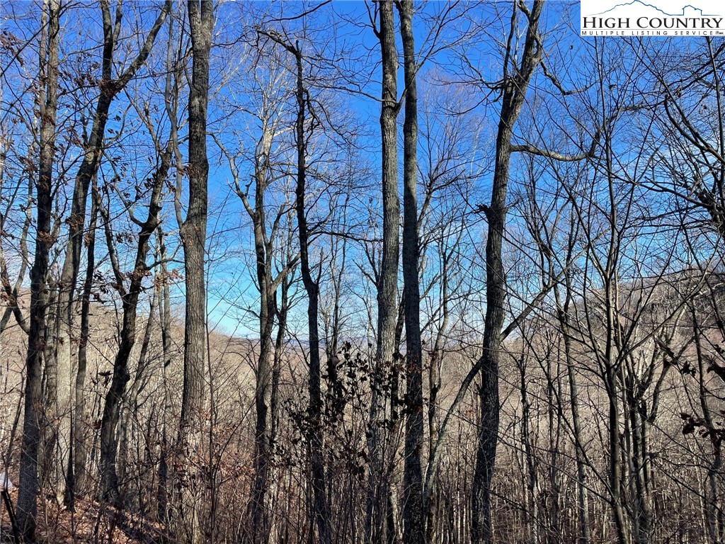 Lot 65 Madisyn Oaks Lane Boone, NC 28607 - Photo 6 of 31