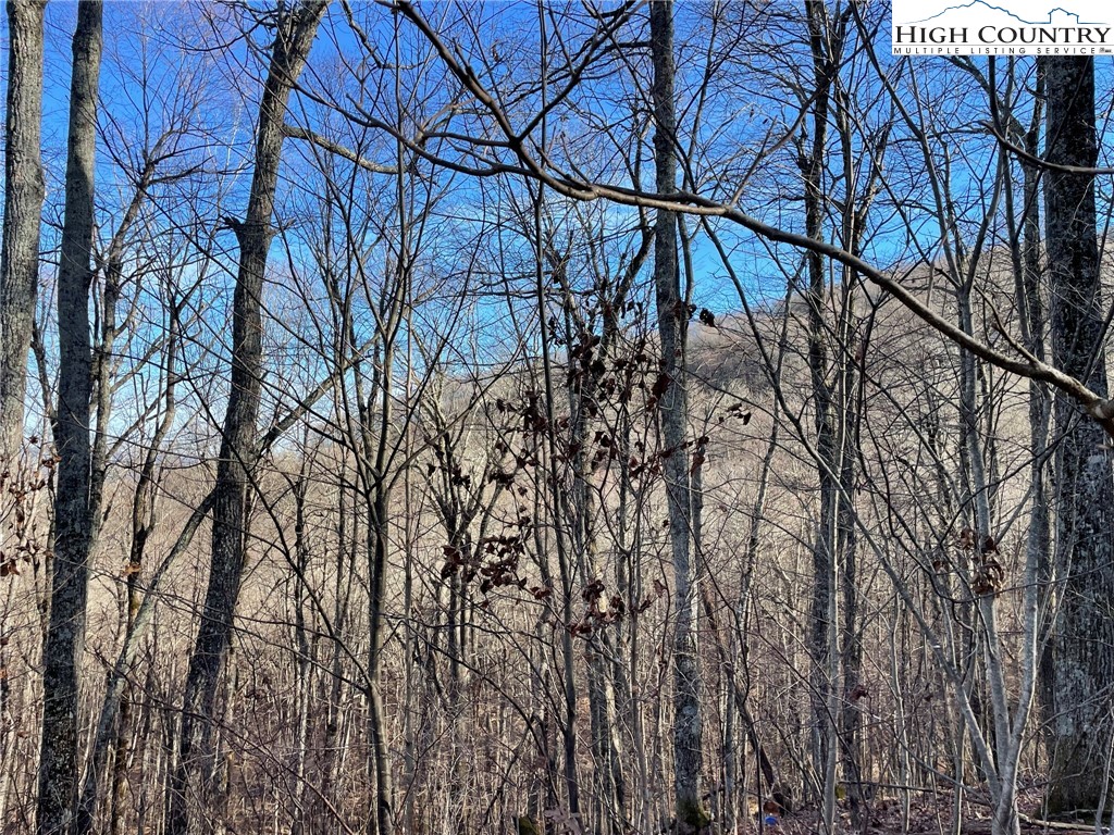 Lot 65 Madisyn Oaks Lane Boone, NC 28607 - Photo 7 of 31