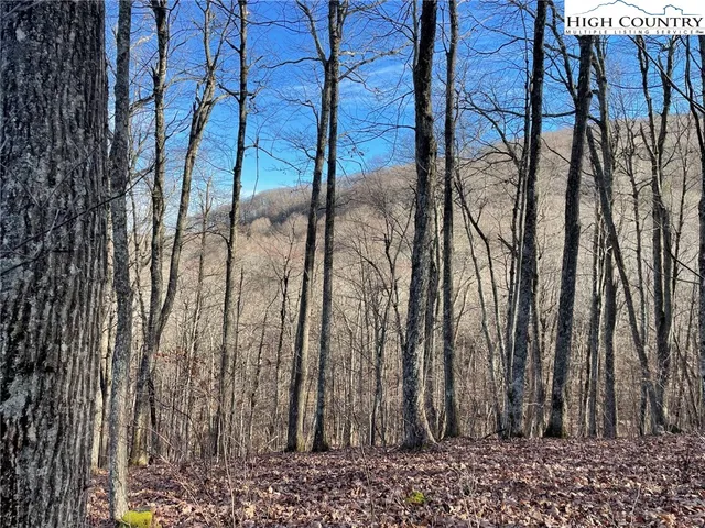 $89,900 | Lot 65 Madisyn Oaks Lane, Boone, NC 28607
