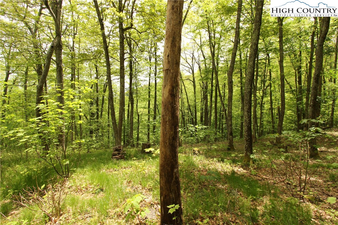 Lot 65 Madisyn Oaks Lane Boone, NC 28607 - Photo 9 of 31