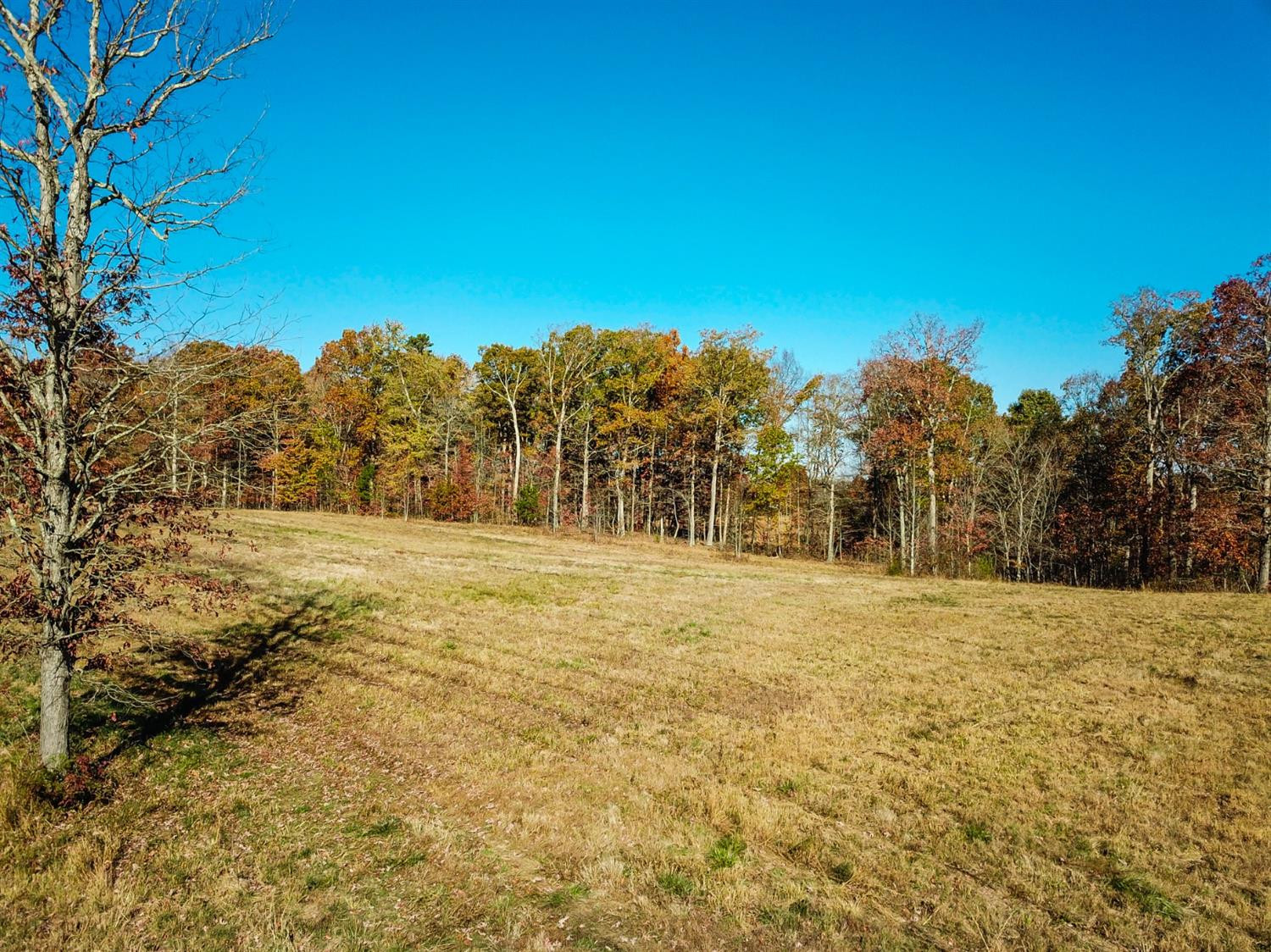 999 Red Davidson Road McKee, KY 40447 - Photo 21 of 45 Photo 21