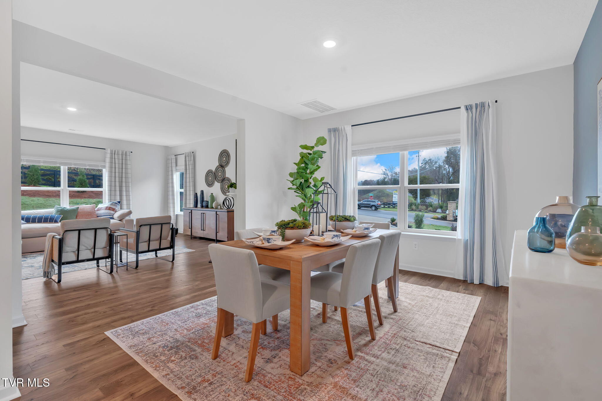 313 Cookie Loop Johnson City, TN 37615 - Photo 8 of 39 17-web-or-mls-DSC00724