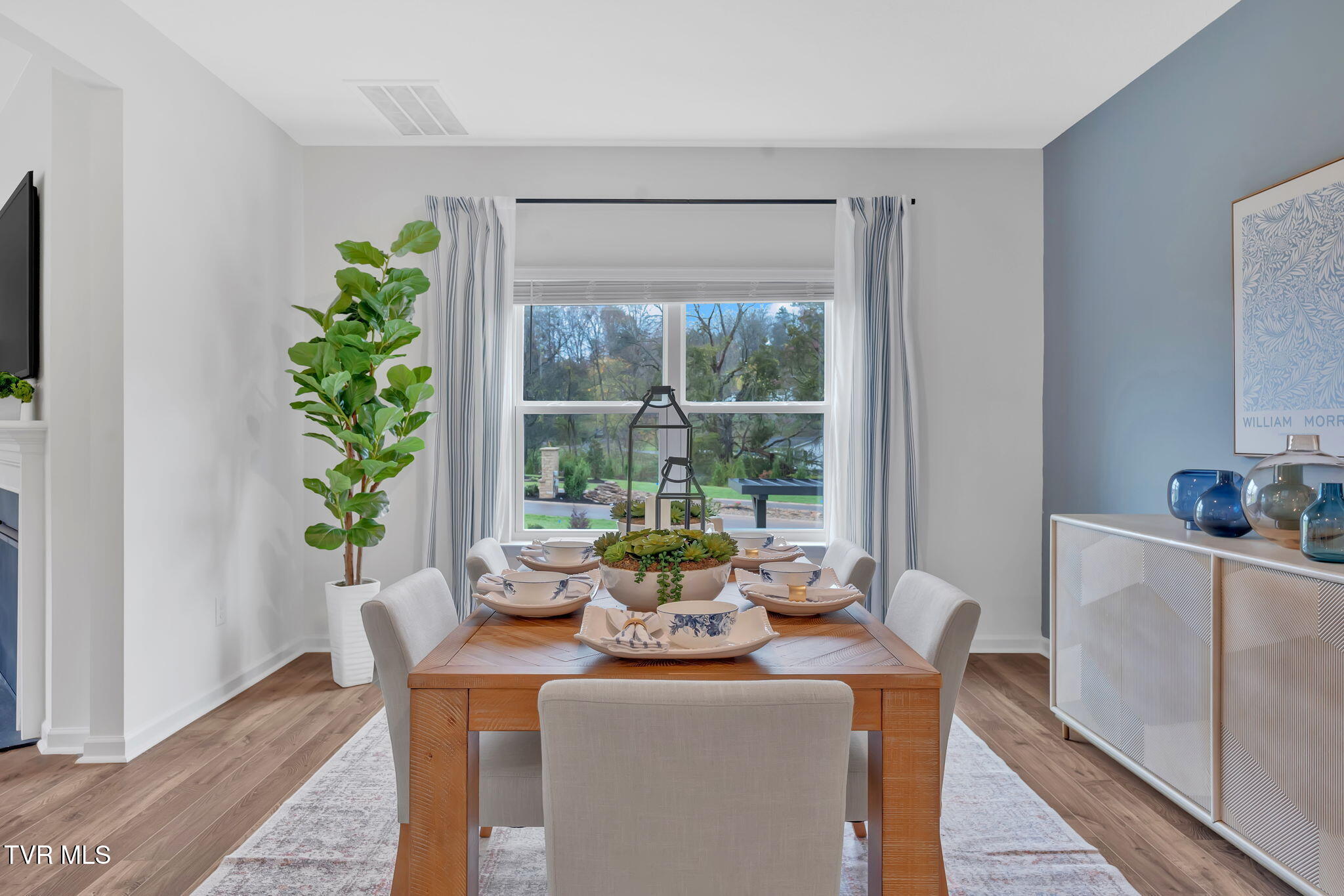 313 Cookie Loop Johnson City, TN 37615 - Photo 9 of 39 18-web-or-mls-DSC00727