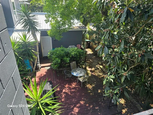 a plant that has a plant in it