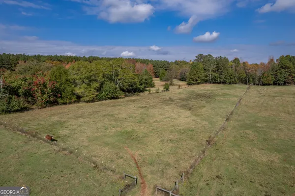 a view of a pathway both side of building