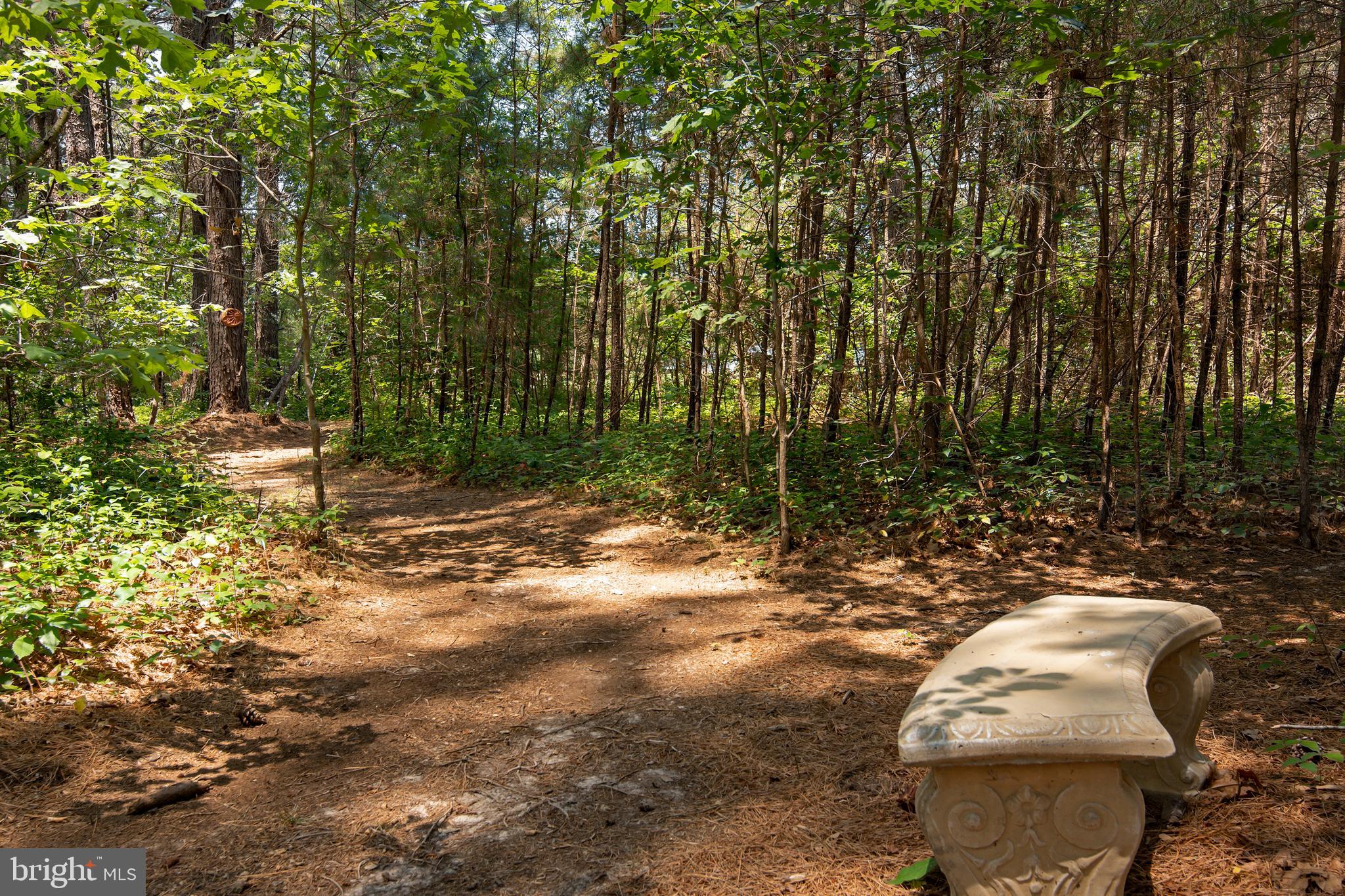 5820 Ross Neck Road Cambridge, MD 21613 - Photo 54 of 74 Gallery Image 54