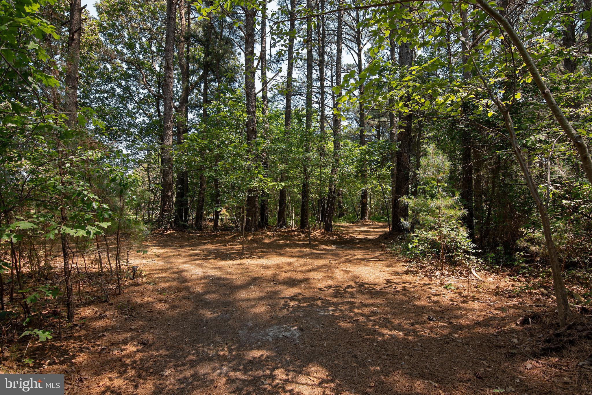 5820 Ross Neck Road Cambridge, MD 21613 - Photo 56 of 74 Gallery Image 56