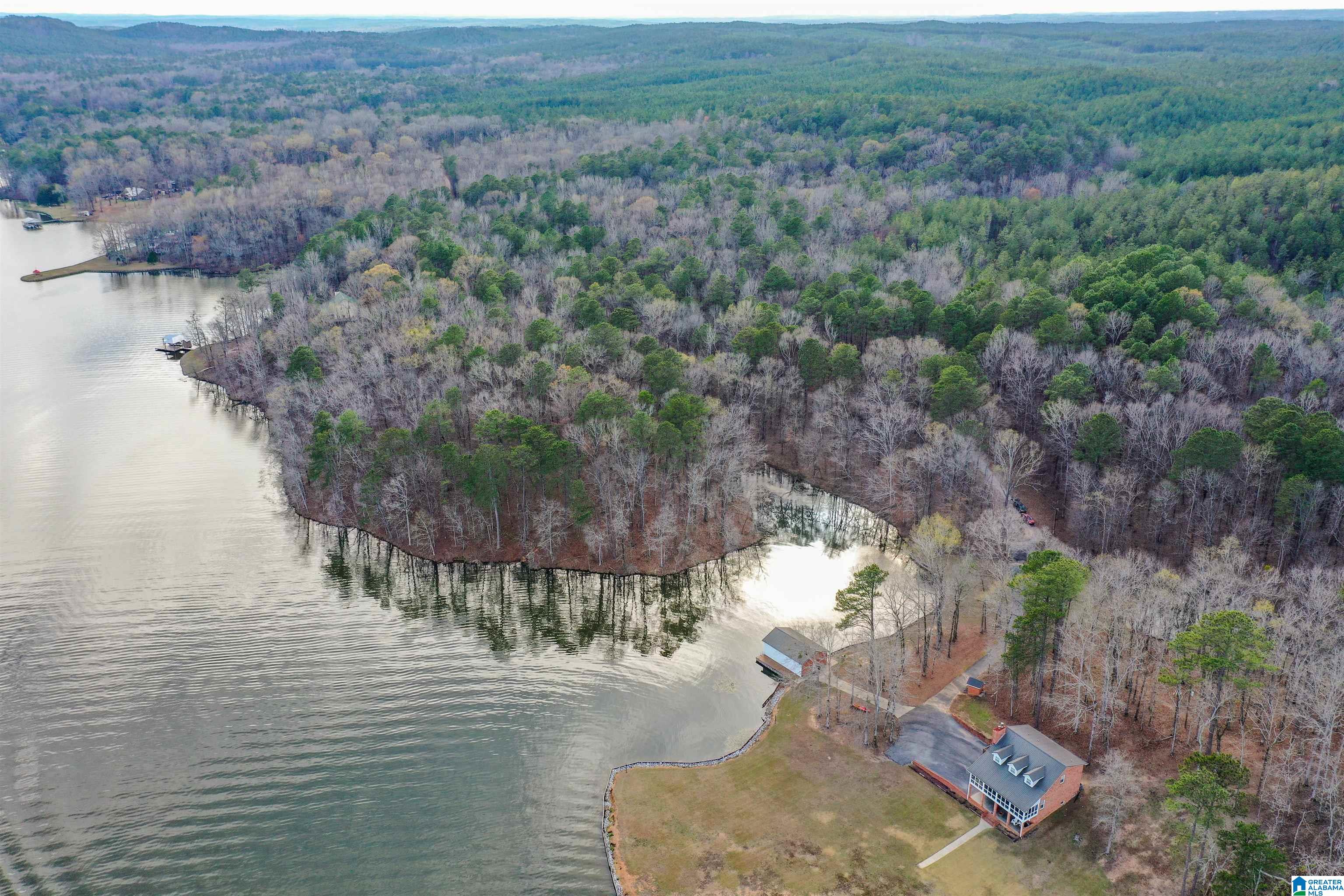 South River Road, Unit LONG Shelby, AL 35143 - Photo 4 of 21