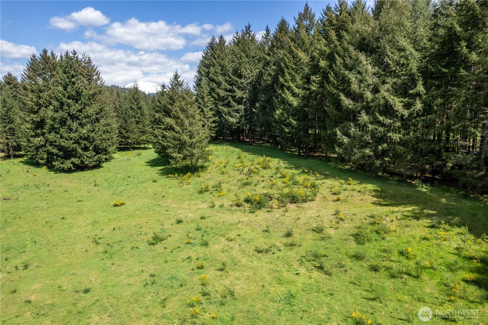 211 Sugar Pine Road Ariel, WA 98603 - Photo 1 of 11