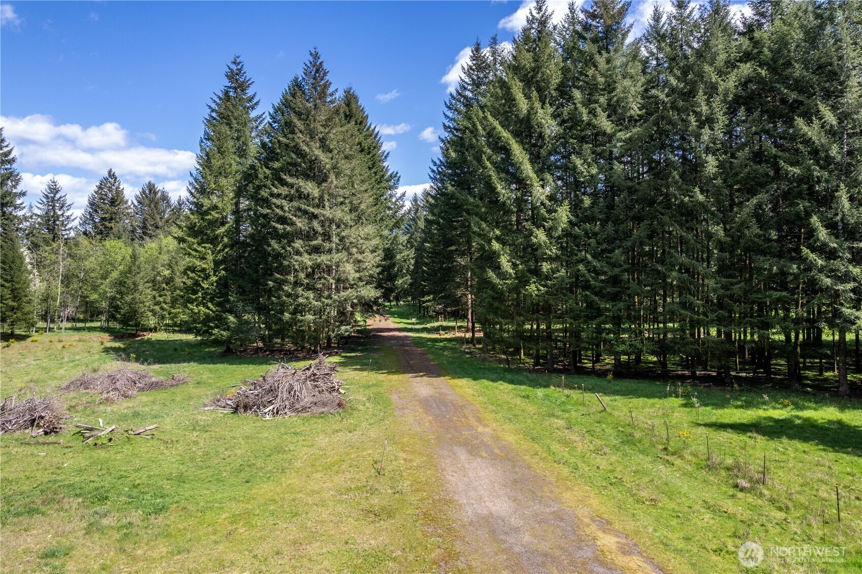 211 Sugar Pine Road Ariel, WA 98603 - Photo 11 of 11
