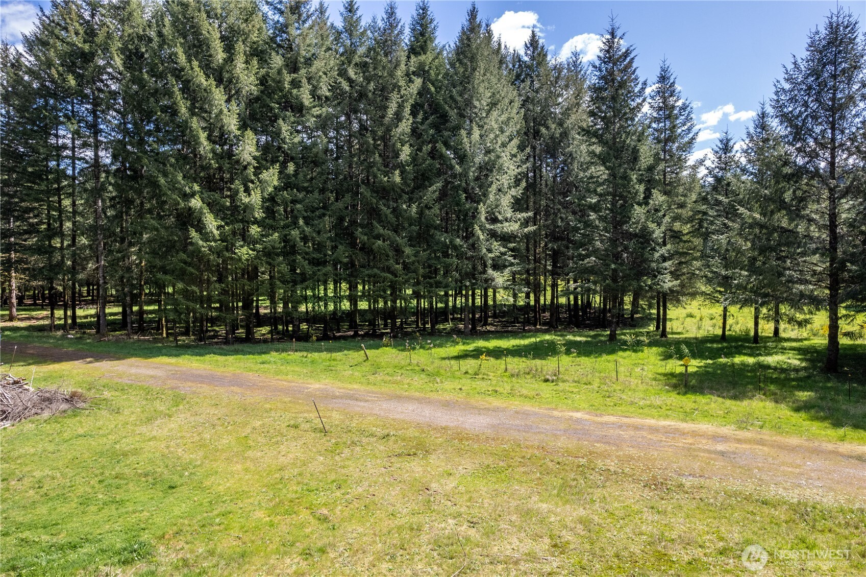 211 Sugar Pine Road Ariel, WA 98603 - Photo 3 of 11