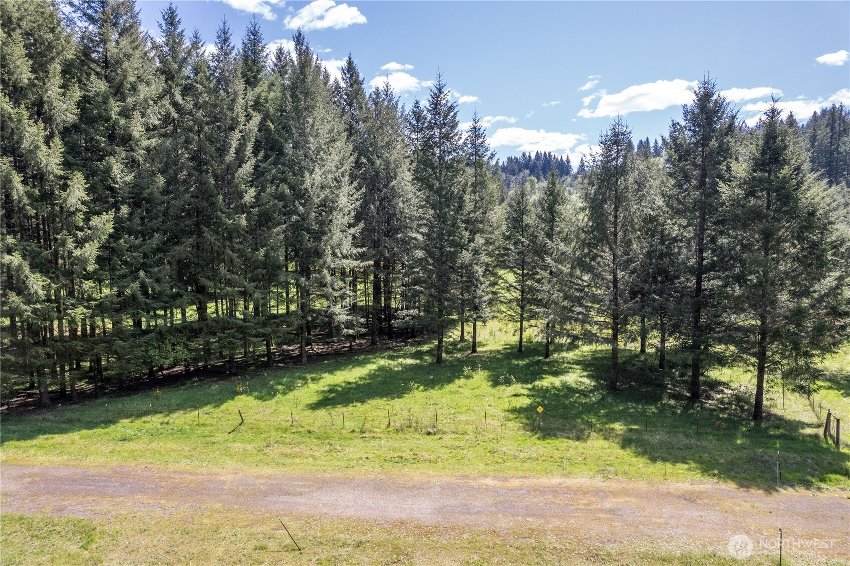 211 Sugar Pine Road Ariel, WA 98603 - Photo 6 of 11