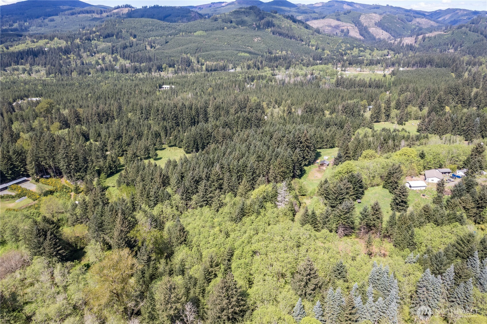 211 Sugar Pine Road Ariel, WA 98603 - Photo 8 of 11