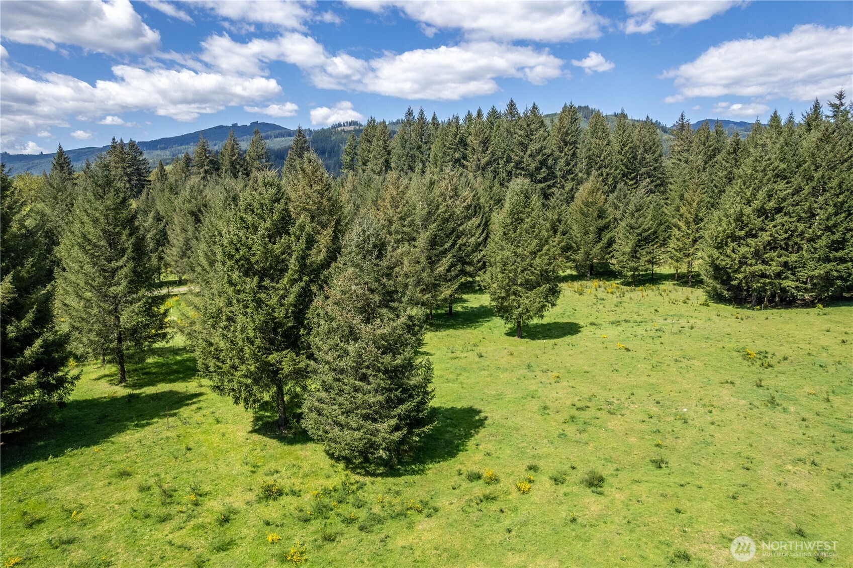 211 Sugar Pine Road Ariel, WA 98603 - Photo 10 of 11