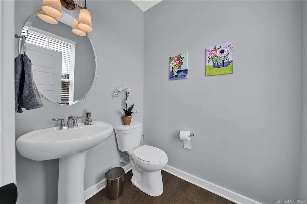 365 Sensibility Circle Fort Mill, SC 29708 - Photo 4 of 46 Gallery Image 4