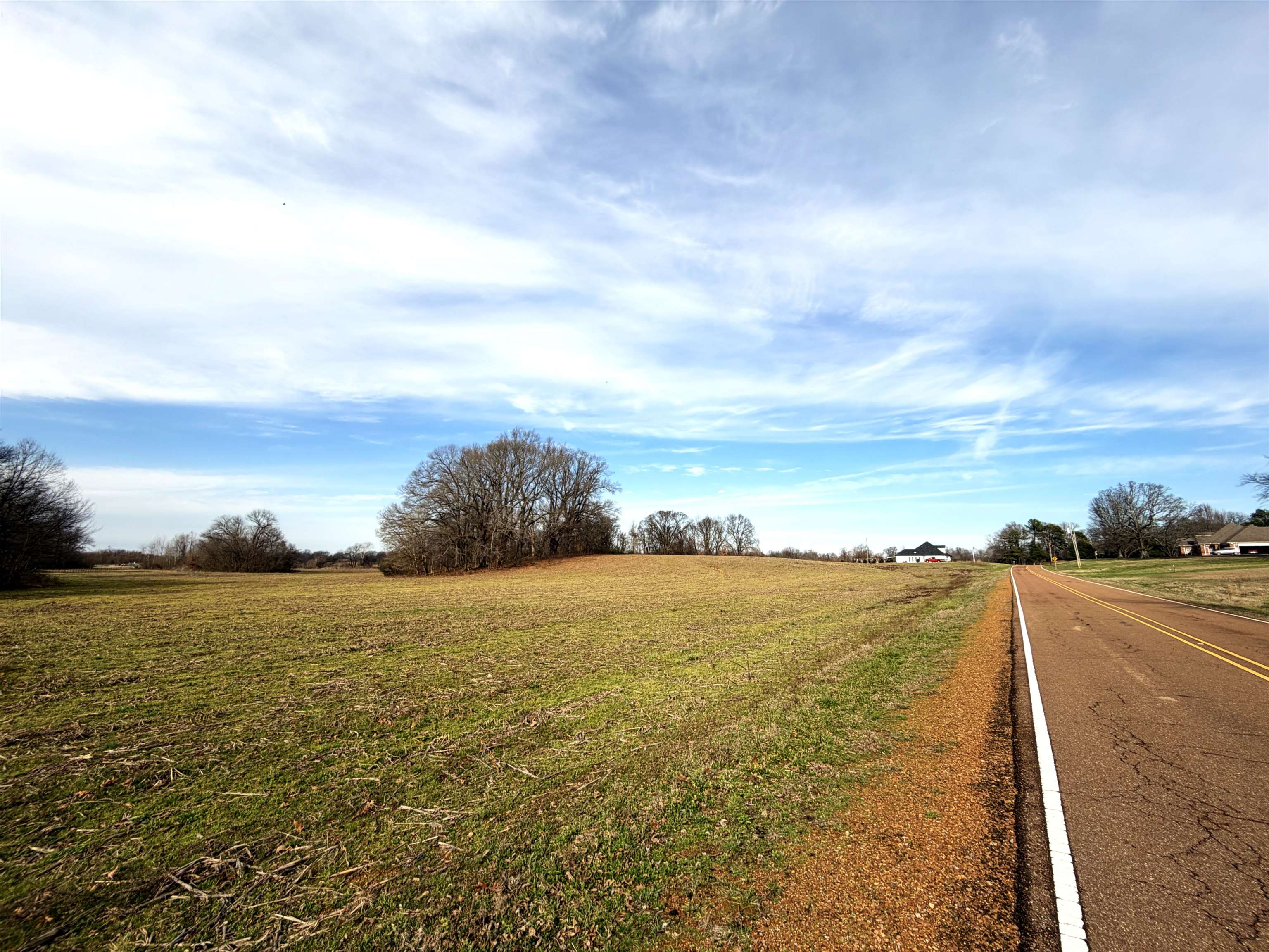 398-4006 Baldwin Road Hernando, MS 38632 - Photo 4 of 6