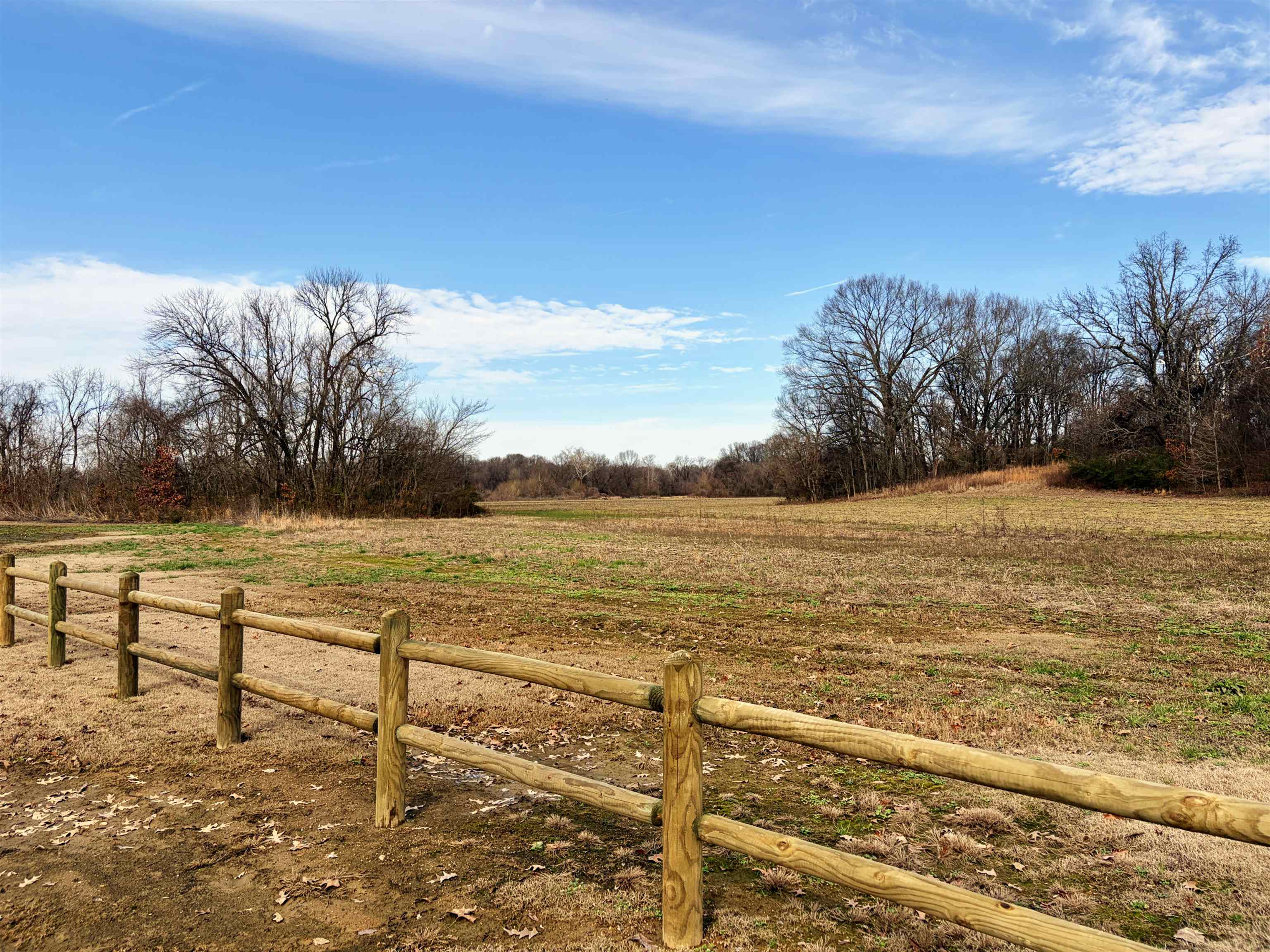 398-4006 Baldwin Road Hernando, MS 38632 - Photo 5 of 6